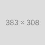 Freelancer Days 2024, What’s new?